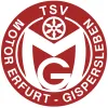 Motor Gispersleben (N)
