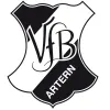 VfB 1919 Artern