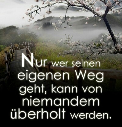 Starker Kampf - unnötige Niederlage !