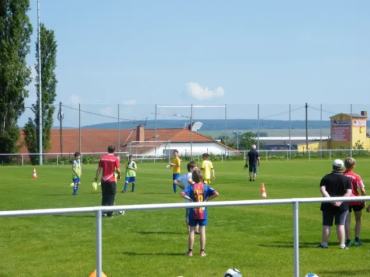 DFB-Mobil am 08.06.13