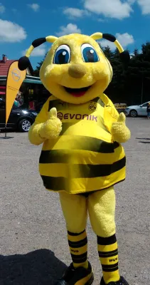 BVB-Family-Cup / 18.Juni 2017 in Weimar/Lindenberg