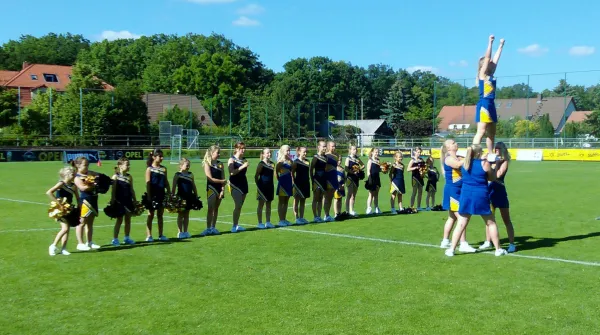 BVB-Family-Cup / 18.Juni 2017 in Weimar/Lindenberg