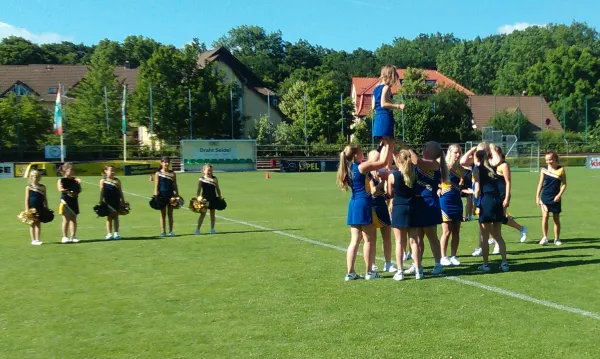 BVB-Family-Cup / 18.Juni 2017 in Weimar/Lindenberg