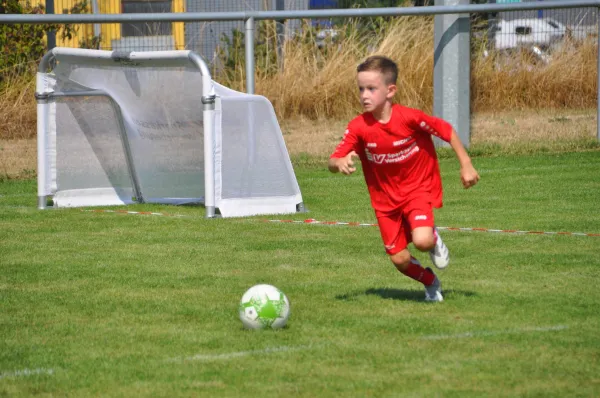 Fußballcamp mit Guido Buchwald